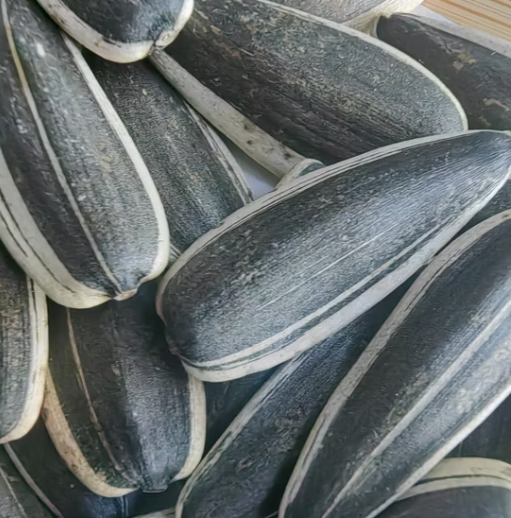 Семечки подсолнечника разных размеров и разных типов 22 108 Подсолнечные семечки