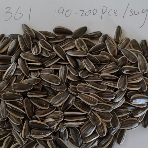 Поставка напрямую с китайского завода, семечки подсолнечника 361 урожая 2025 года с индивидуальной (настраиваемой) упаковкой 22 116 Подсолнечные семечки