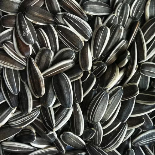 Новые продукты 2025 года: сырые семечки подсолнечника 363 с настраиваемой упаковкой, без плесени 22 118 Подсолнечные семечки