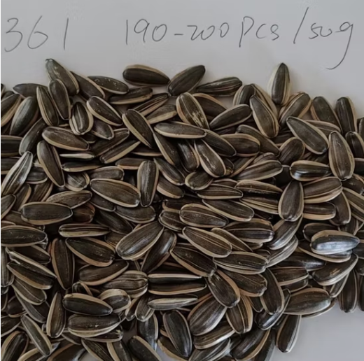 Премиальный вкус, семечки подсолнечника 361 нового урожая 2025 года 22 119 Подсолнечные семечки