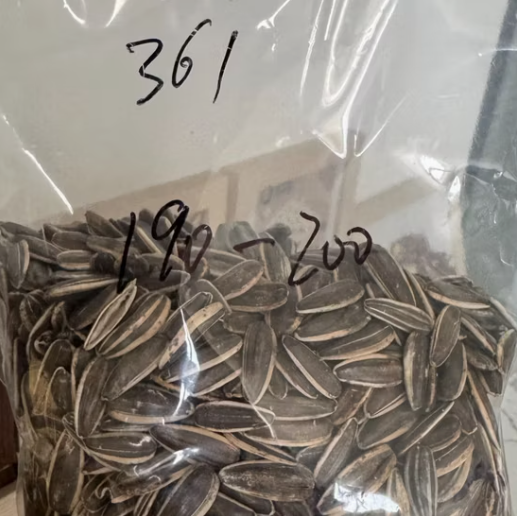 Заводские продажи 2025 года: новые семечки подсолнечника 361 с отличным вкусом 22 124 Подсолнечные семечки