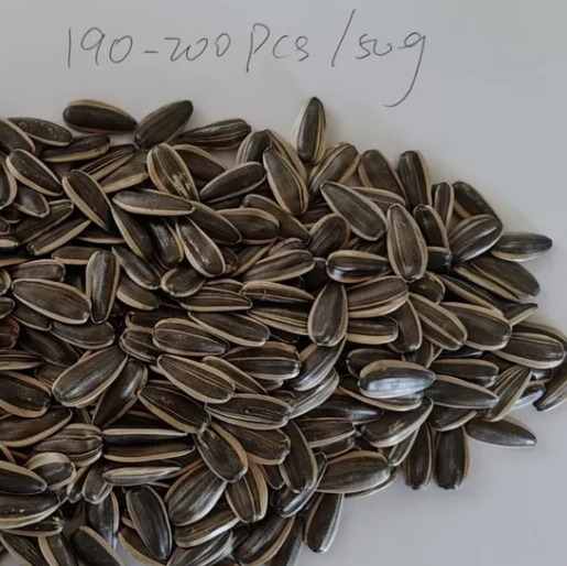 Высокое качество и выгодная цена семян подсолнечника сорта 361 22 128 видео