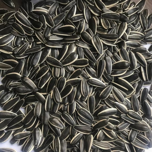 Подсолнечные семечки нового урожая 2025 года, с содержанием плесени 0,5%, типы 361, 363, T5, T6 22 130 Подсолнечные семечки