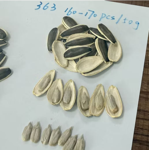 Семена подсолнечника 2025 года, тип 363, 160–170 шт./50 г 22 131 видео