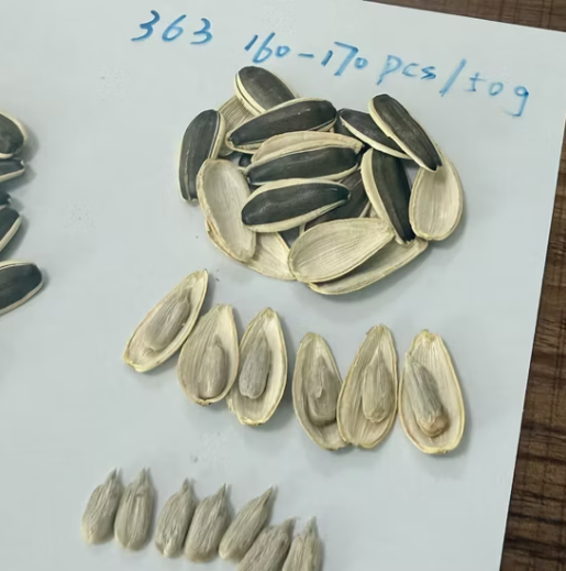 Прямые продажи с завода: семена подсолнечника 363 высшего качества 22 132 видео