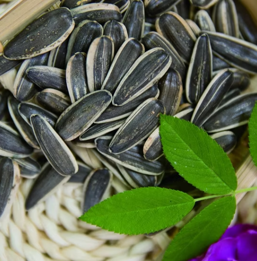 Искренне приглашаем агентов. Заводские низкие цены. Длинный тип семян подсолнечника 361 22 14 Подсолнечные семечки