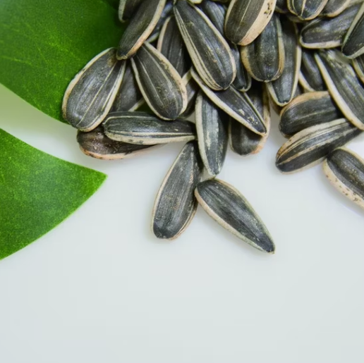 Полностью натуральный продукт для пищевой промышленности — высококачественные семечки подсолнечника 361 22 15 Подсолнечные семечки