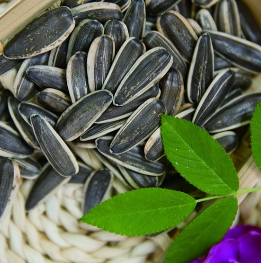 Оптовая продажа с возможность кастомизации и частной маркировки. Семена подсолнечника 361 размера, пищевая категория 22 16 Подсолнечные семечки