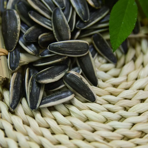 Семена подсолнечника 361 сорта “Джамбо”, урожай 2025 года, Болгария 22 17 Подсолнечные семечки