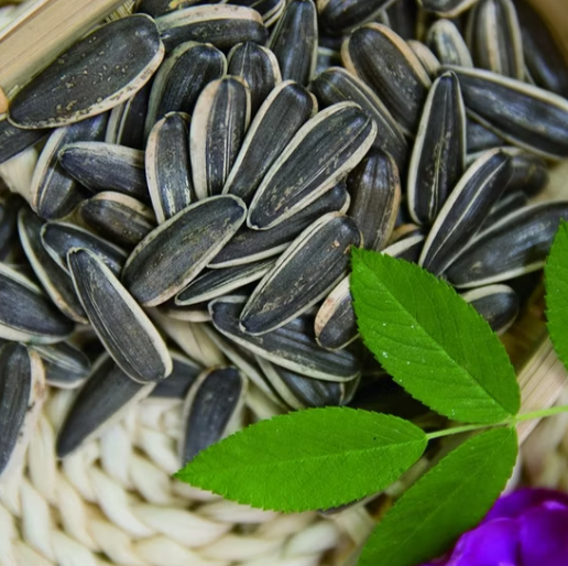 Семена подсолнечника 361 новейшего урожая из Внутренней Монголии, Китай 22 20 Подсолнечные семечки