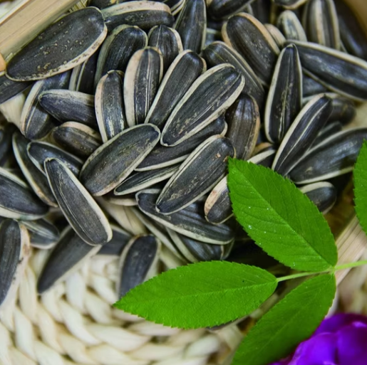 Оптовая продажа крупных гибридных ядер семян подсолнечника 361 из Внутренней Монголии, Китай 22 29 Подсолнечные семечки