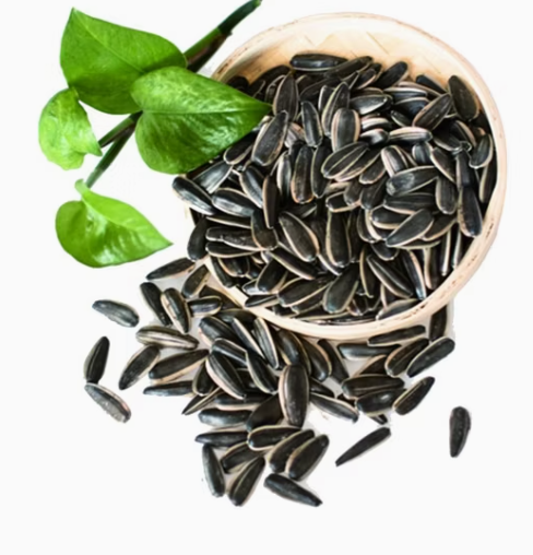 Горячая новинка! Семена подсолнечника 361 урожая 2025 года из Китая 22 31 Подсолнечные семечки