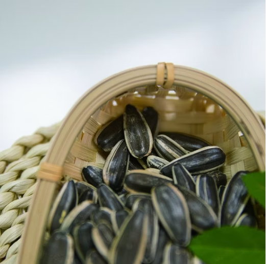 Поставщик нового урожая семян подсолнечника 361 из Китая, Внутренняя Монголия 22 32 Подсолнечные семечки