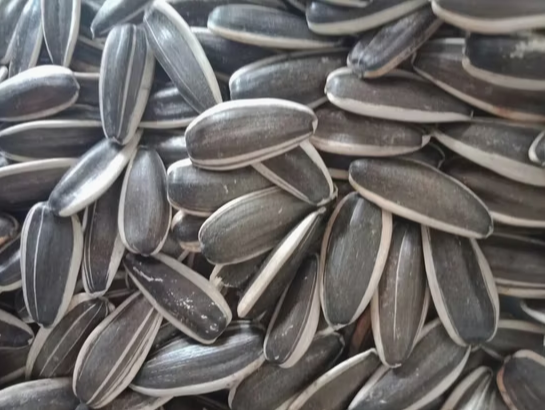 Хит продаж 2025 года! Семена подсолнечника 361 пищевого качества 22 36 Подсолнечные семечки