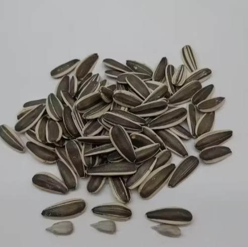 Фермер китайской фабрики имеет новый урожай семян подсолнечника сорта 361 22 40 Подсолнечные семечки