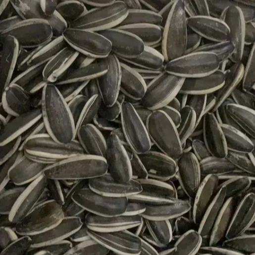 Семена подсолнечника 361 экспортного качества по стандартам ЕС, оптом по заводской цене 22 41 Подсолнечные семечки