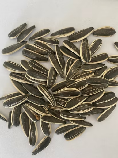 Оптовая поставка кормовых семечек подсолнечника 361 с индивидуальной частной маркировкой для птиц 22 5 Подсолнечные семечки