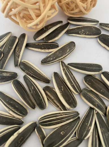 Синьцзянский новый урожай, заводские оптовые поставки, высокое качество, выгодная цена, крупный размер 601 22 56 Подсолнечные семечки