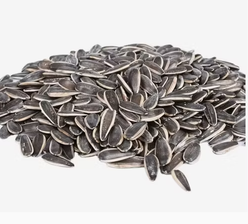 Крупные сырые семечки подсолнечника 601 из Китая 22 59 Подсолнечные семечки