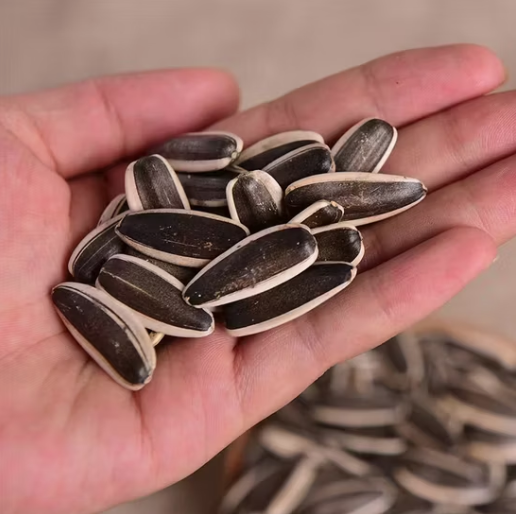 Китайские семечки подсолнечника Chacha 361 высокого качества, горячие продажи 22 6 Подсолнечные семечки