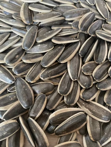 Семечки подсолнечника 363 нового урожая 2025 года из Внутренней Монголии 22 60 Подсолнечные семечки