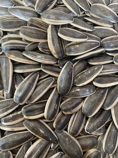 Оптовые крупные высококачественные чёрные семечки подсолнечника 363 из китайского Синьцзяна 22 61 Подсолнечные семечки
