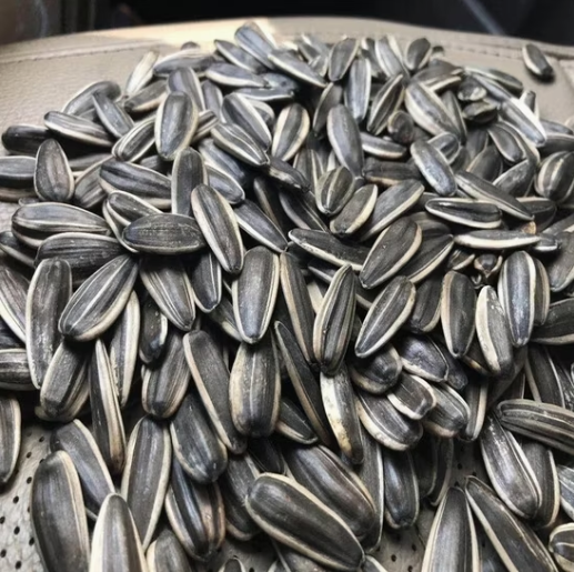 Сырые семечки подсолнуха T6 для закусок 22 85 Подсолнечные семечки
