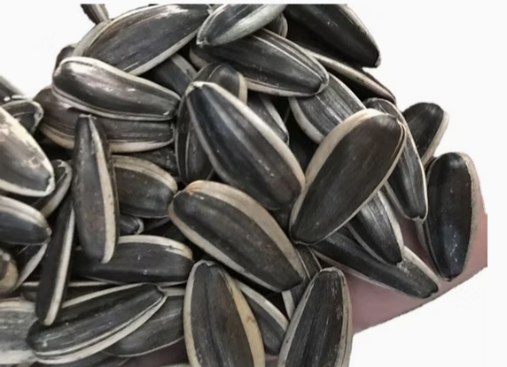 Семечки подсолнуха разных размеров из Внутренней Монголии 22 86 Подсолнечные семечки