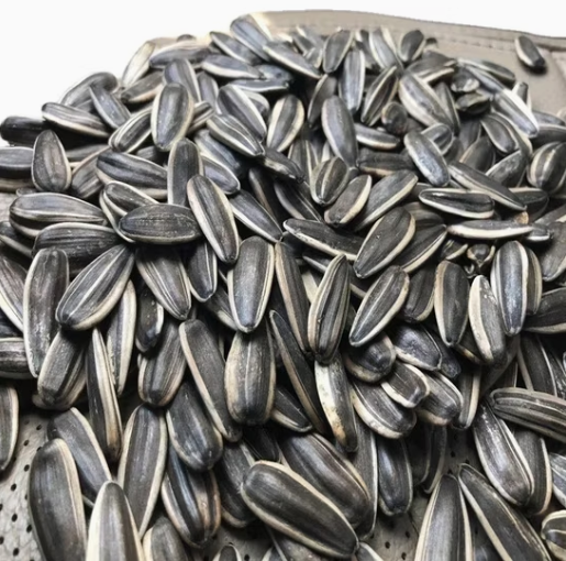 Фабрика семечек подсолнуха T6 361 разных размеров из Китая 22 87 Подсолнечные семечки