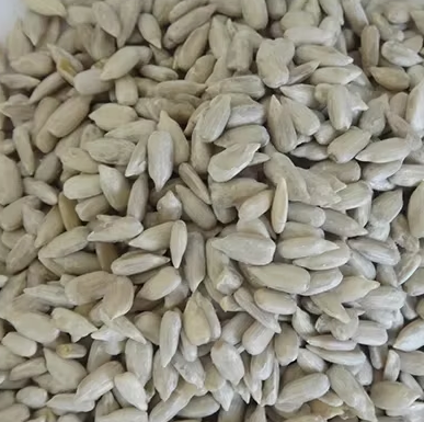 Семечки подсолнуха всех типов и ядра из Внутренней Монголии 22 88 Подсолнечные семечки