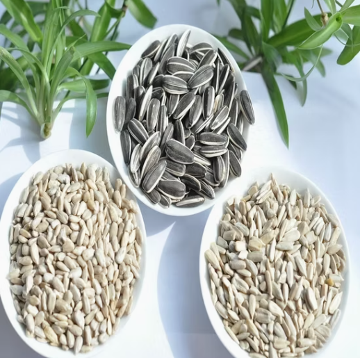 Семечки подсолнечника и ядра для снеков из Внутренней Монголии 22 89 Подсолнечные семечки