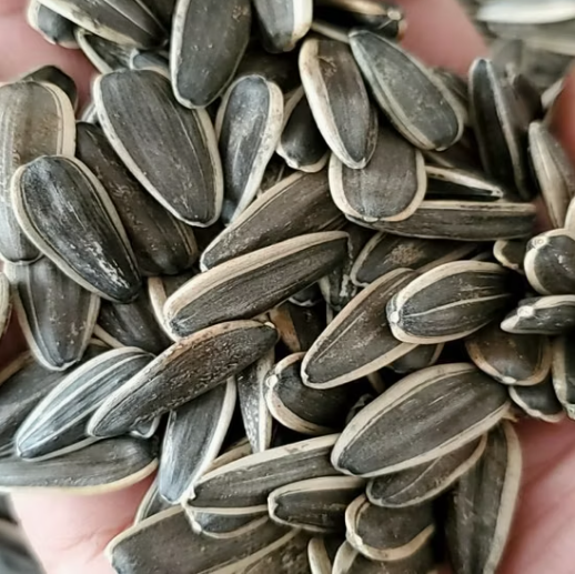 Семечки подсолнечника 361 разных размеров 22 95 Подсолнечные семечки