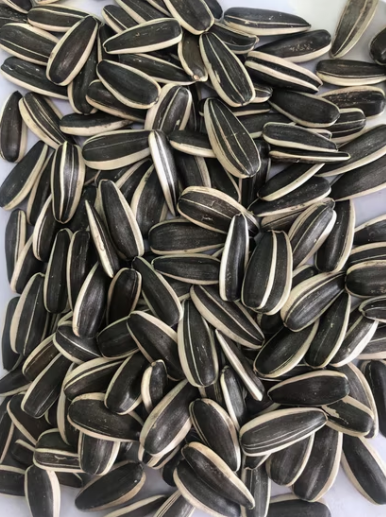 Семечки подсолнечника типа 363 из Внутренней Монголии 22 98 Подсолнечные семечки