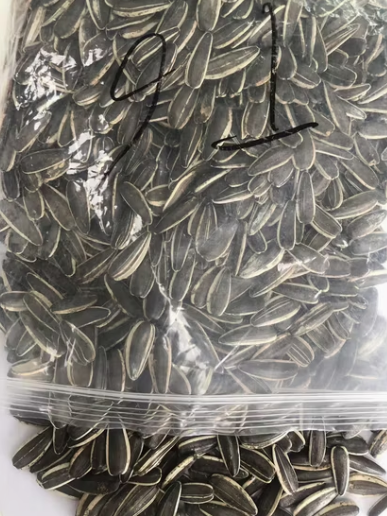 Семечки подсолнечника типа 361 из Внутренней Монголии 22 99 Подсолнечные семечки