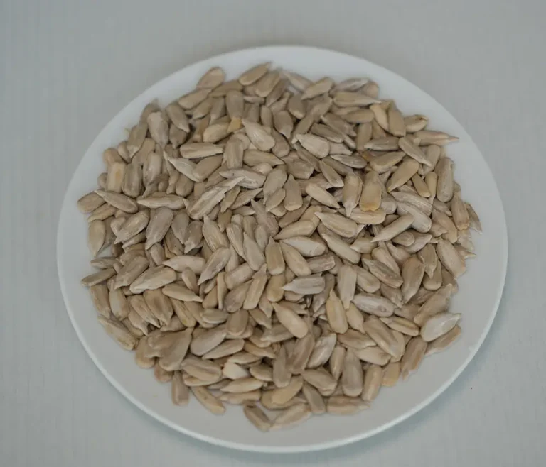 Reliable Chinese producer of raw sunflower seeds - Bayi Trade