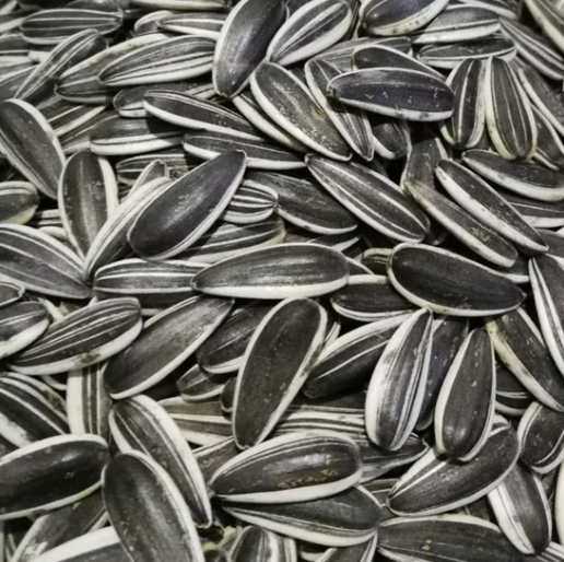 Высококачественные новые органические ядра семян подсолнечника типа 361/T6, гибридные, крупная фасовка, ГМО-свободные, для пищевой и сельскохозяйственной отрасли, Внутренняя Монголия, Китай 33 114 Подсолнечные семечки