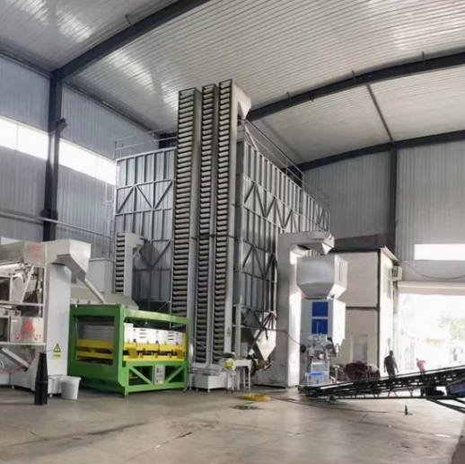 Новые продукты 2025 года: сырые семечки подсолнечника 363 с настраиваемой упаковкой, без плесени 33 118 Подсолнечные семечки