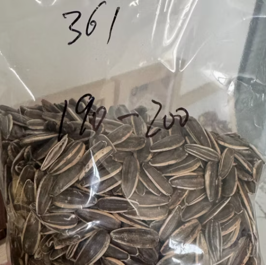 Премиальный вкус, семечки подсолнечника 361 нового урожая 2025 года 33 119 Подсолнечные семечки