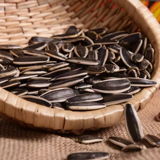 Семена подсолнечника 361 для переработки — низкая цена и высокое качество от завода в Китае 33 3 Подсолнечные семечки