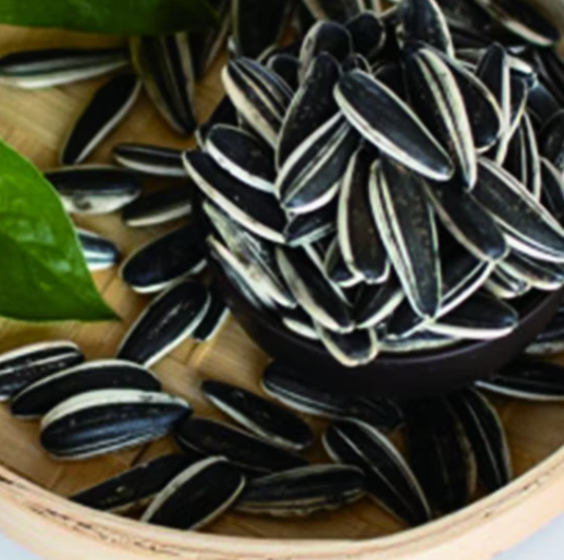 Крупные полосатые сырые семечки подсолнечника 601, удлинённой формы 33 45 Подсолнечные семечки