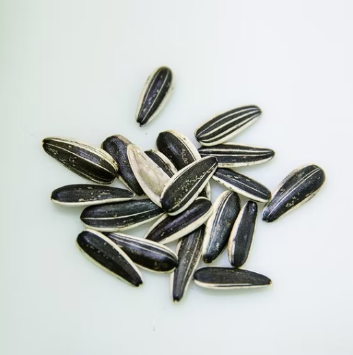 Китайские семечки подсолнечника типа 601 33 51 Новости