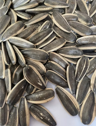 Оптовые крупные высококачественные чёрные семечки подсолнечника 363 из китайского Синьцзяна 33 61 Подсолнечные семечки