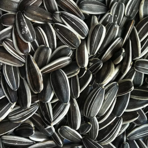 Семечки подсолнечника 363 разных размеров 33 94 Подсолнечные семечки