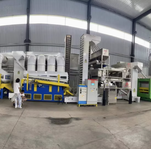 Высококачественные новые органические ядра семян подсолнечника типа 361/T6, гибридные, крупная фасовка, ГМО-свободные, для пищевой и сельскохозяйственной отрасли, Внутренняя Монголия, Китай 44 113 Подсолнечные семечки