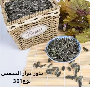 Польза семян подсолнечника: полезные свойства и питательная ценность 44 115 Новости