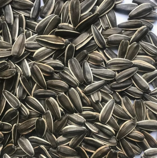 Новый тип 2025 года: высококачественные семечки подсолнечника T6, калибр 180–190 44 117 Подсолнечные семечки