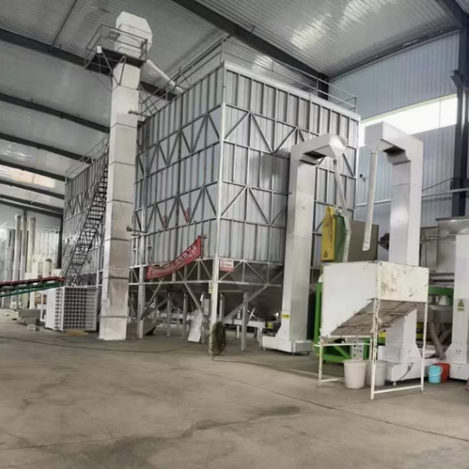 Цена на семена подсолнечника нового типа 361 крупного размера премиального качества 44 122 Подсолнечные семечки