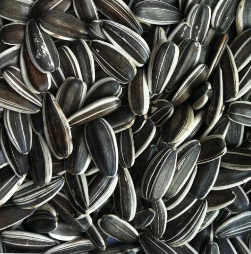 Прямые продажи с завода: семена подсолнечника 363 высшего качества 44 126 Подсолнечные семечки