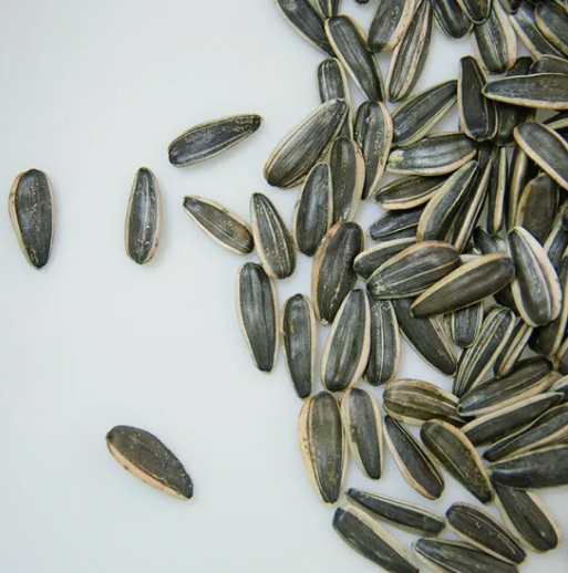 Семена подсолнечника урожая 2025 года из Китая, популярные в продаже, черно-полосатые семечки 361 44 13 Подсолнечные семечки