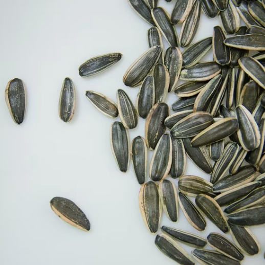 Полностью натуральный продукт для пищевой промышленности — высококачественные семечки подсолнечника 361 44 15 Новости